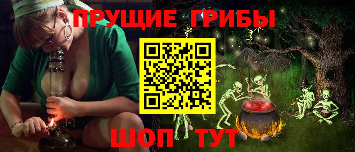 Псилоцибиновые грибы Psilocybe Усинск
