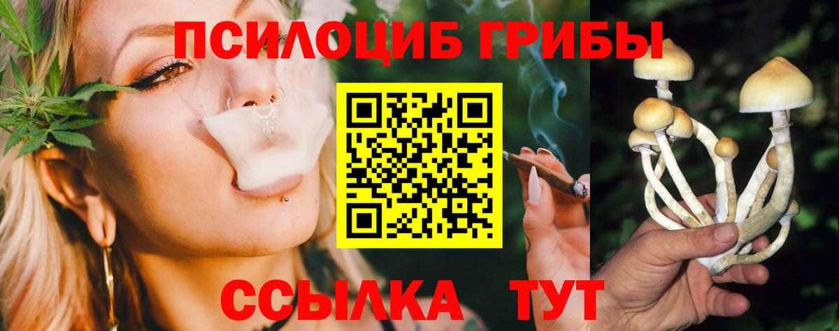Галлюциногенные грибы Psilocybine cubensis  Вход с VPN  Усинск 